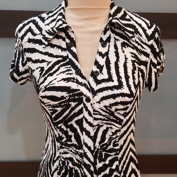 Zebra Print Dress - Picture 2 of 8